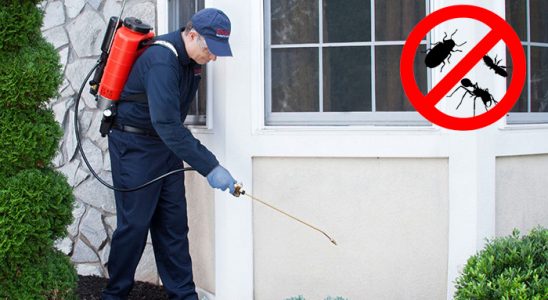 Alpu Dezenfeksiyon böcek ilaçlama ve haşere kontrolü — ilaclama-tr.com